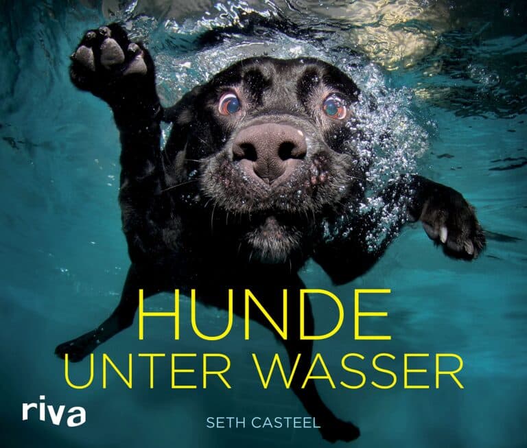Buchcover "Hunde unter Wasser"