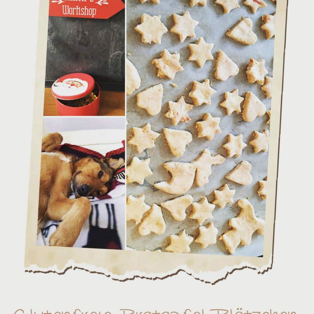 Selbstgemachte Bratapfel Plätzchen für den Hund