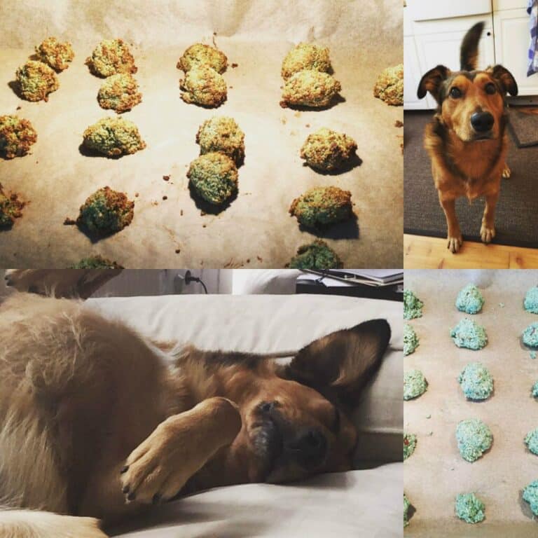 Collage aus 4 Bildern zum Rezept "Glutenfreie Kokostaler"