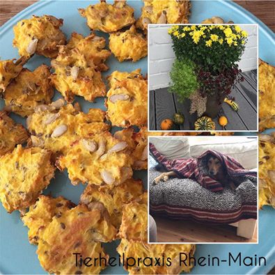 Selbstgemachte Kürbisleckerlis für den Hund