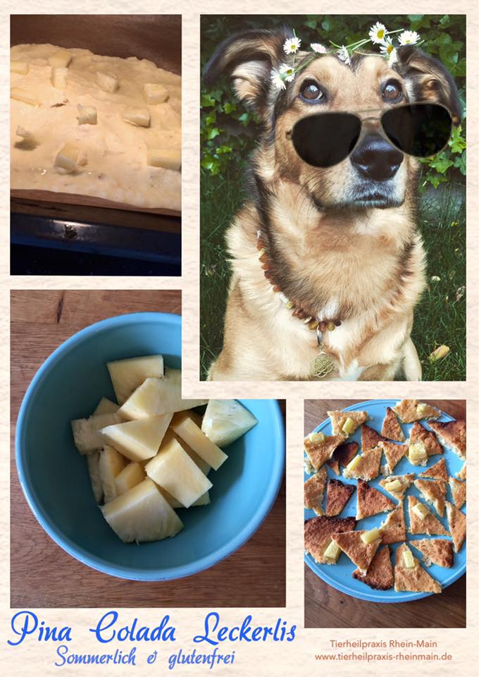 Collage mehrerer Bilder zu Pina Colada Leckerlis für den Hund